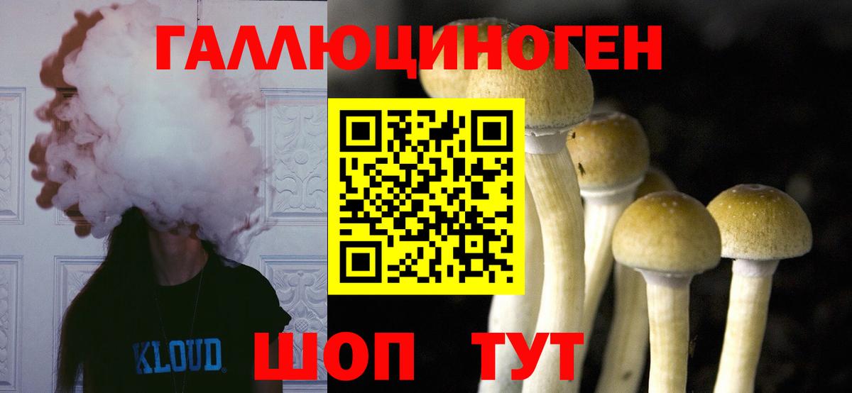 Псилоцибиновые грибы ЛСД Воркута